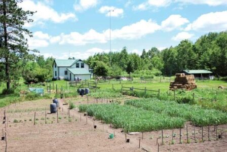 Living Off the Grid and Thriving! Image